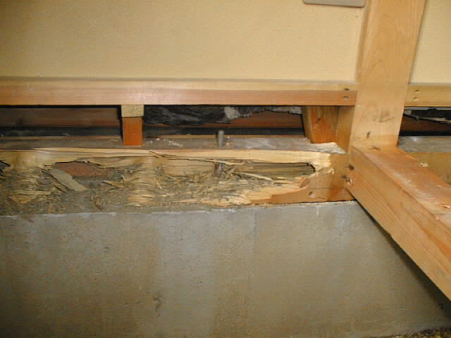 シロアリ駆除 対策は埼玉白蟻株式会社