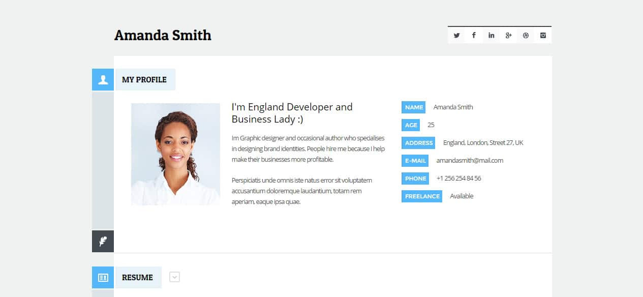 vCard-Responsive-WordPress-Theme-Preview