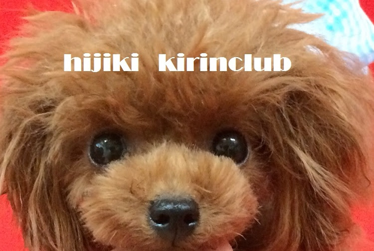 キリンクラブ犬舎 老犬ホーム キリンプロ
