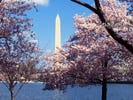 The 8 Things That Are Awful About The Fiscal Cliff