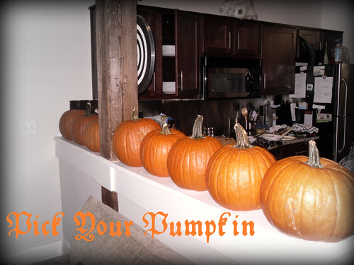 pickyourpumpkin