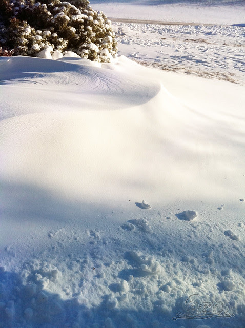 IMG_1151 Snow drift