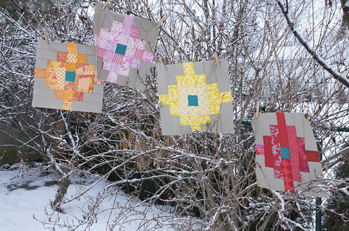 More blocks in the bushes