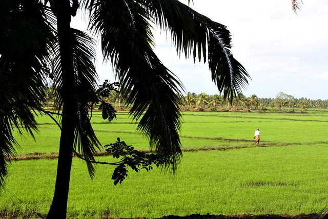 Kerala