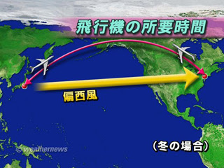 Jal 天気情報
