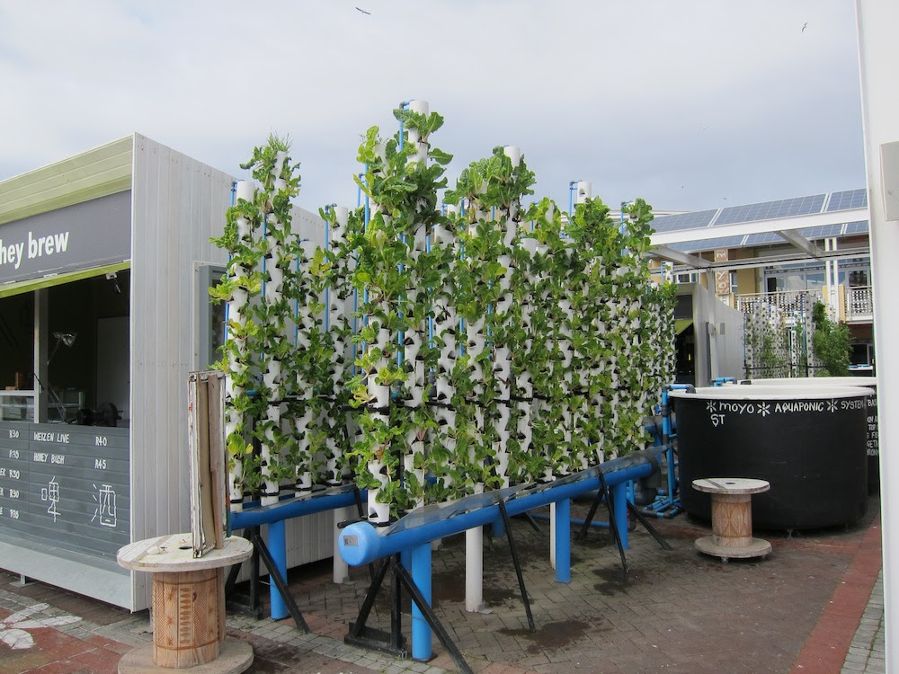 Sprig | Vertical, hydroponic at the V &amp; A Waterfront