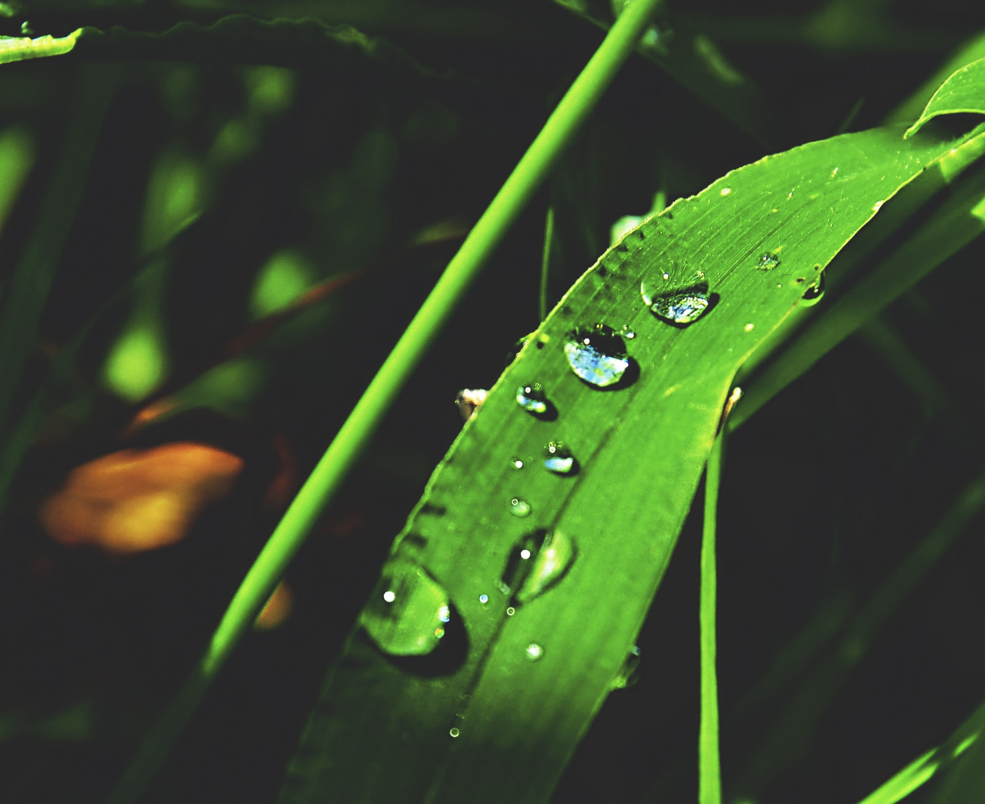 雨の風景 をテーマにした無料写真素材10選 商用利用可 Acworks Blog