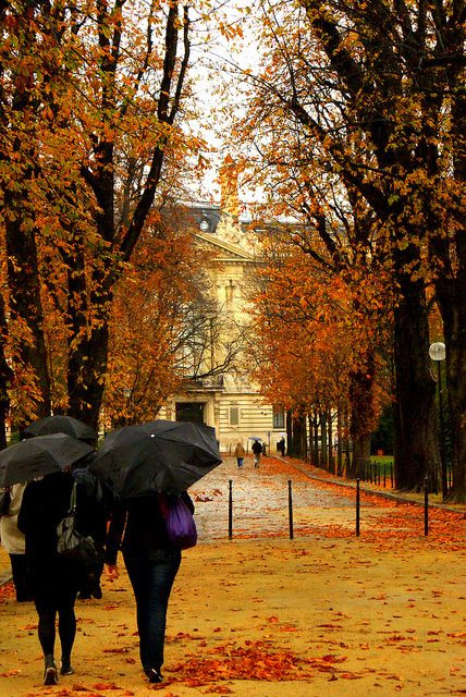 Autumn in Paris - oui!