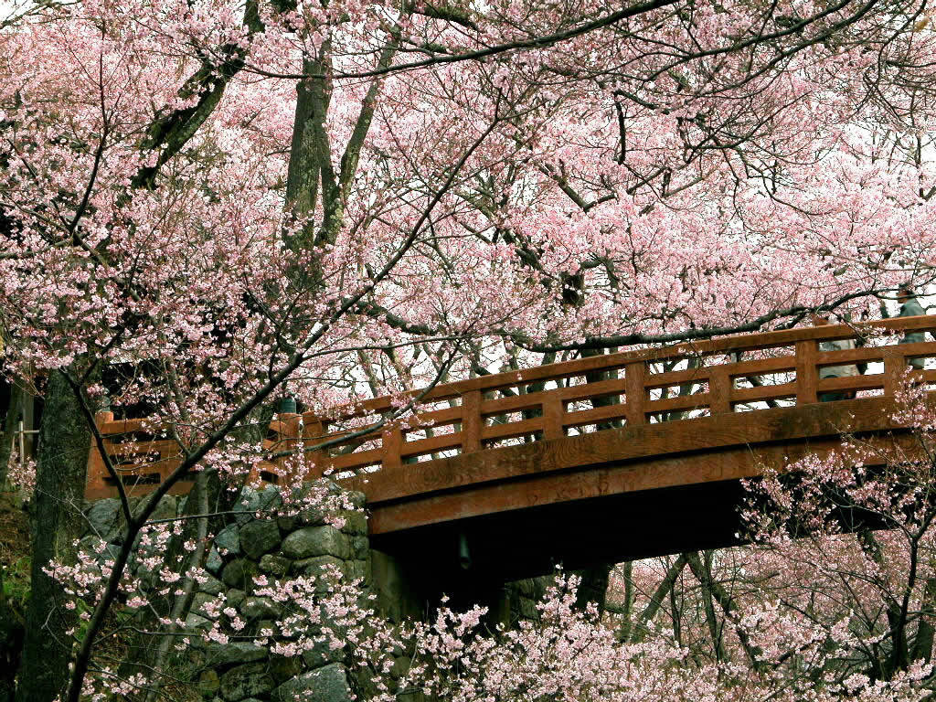 http://24.media.tumblr.com/tumblr_m93io2zQ4A1ra2x1io6_1280.jpg