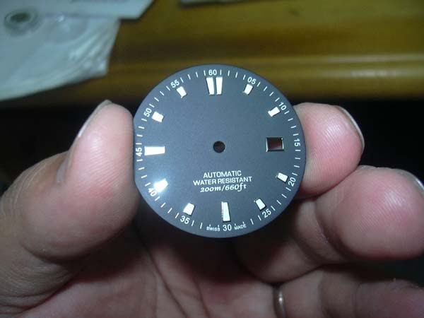 自作時計 Eta24 2 ダイバーズウォッチ ししゃもの思うところ