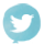 Share to Twitter