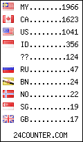 visitors by country counter