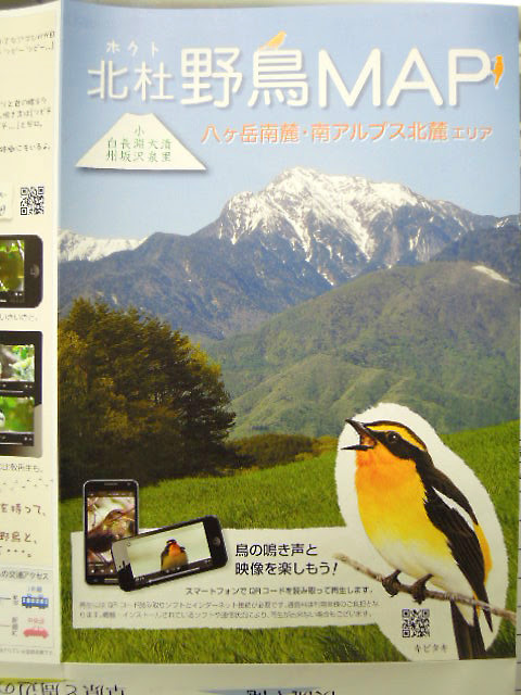 八ヶ岳南麓野鳥map配布してます 営業日は毎日更新 ホビーズワールドスタッフブログ