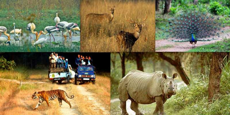 National Parks And Sanctuaries Of India Trivia Quiz Bestfunquiz