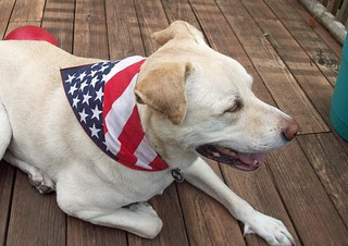 BandanaDay_Zeus_6812e