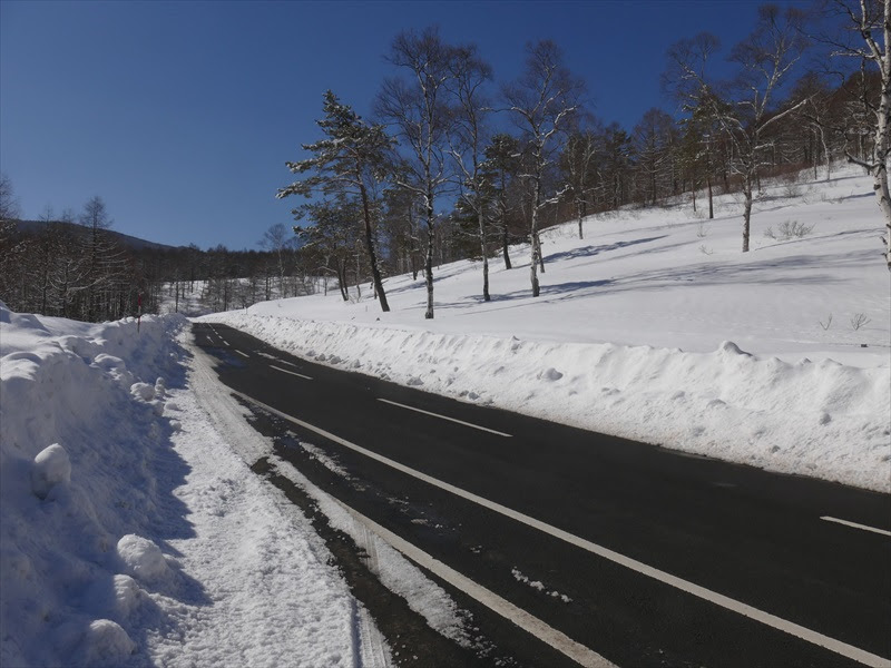 なぜ木の根本だけ雪が融けるのか 鹿沢インフォメーションセンター