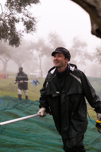 Laudemio blogtour nov. 2013