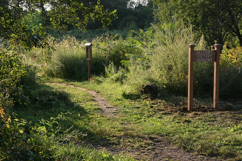 victory garden sign