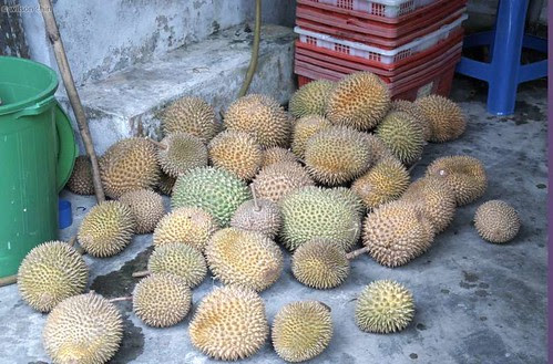 durian_03