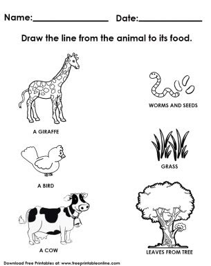  kindergarten worksheets evs worksheet for study
