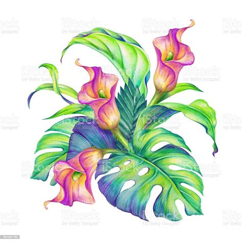 abstract tropical leaves  flowers jungle plants watercolor