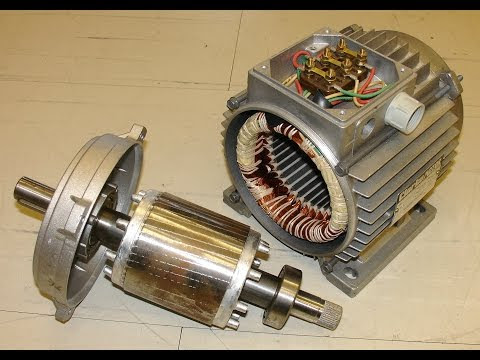 Motor principle and diagram