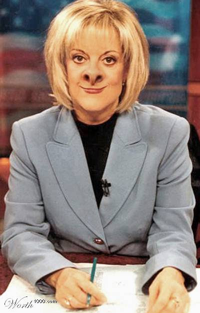 http://fruitfly.files.wordpress.com/2006/11/nancypigrace.jpg