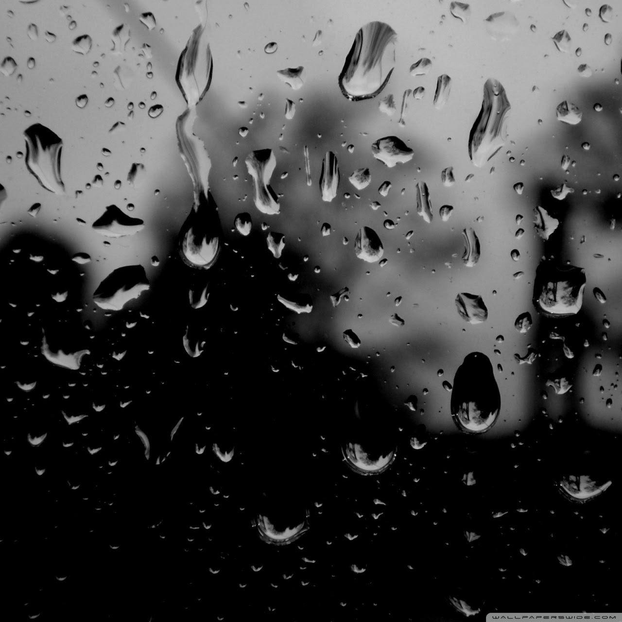 Dark Rainy Day Ultra Hd Desktop Background Wallpaper For 4k Uhd Tv
