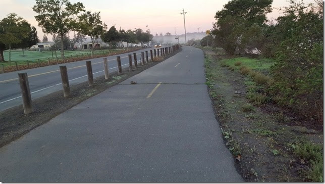 running in napa 9 (800x450)