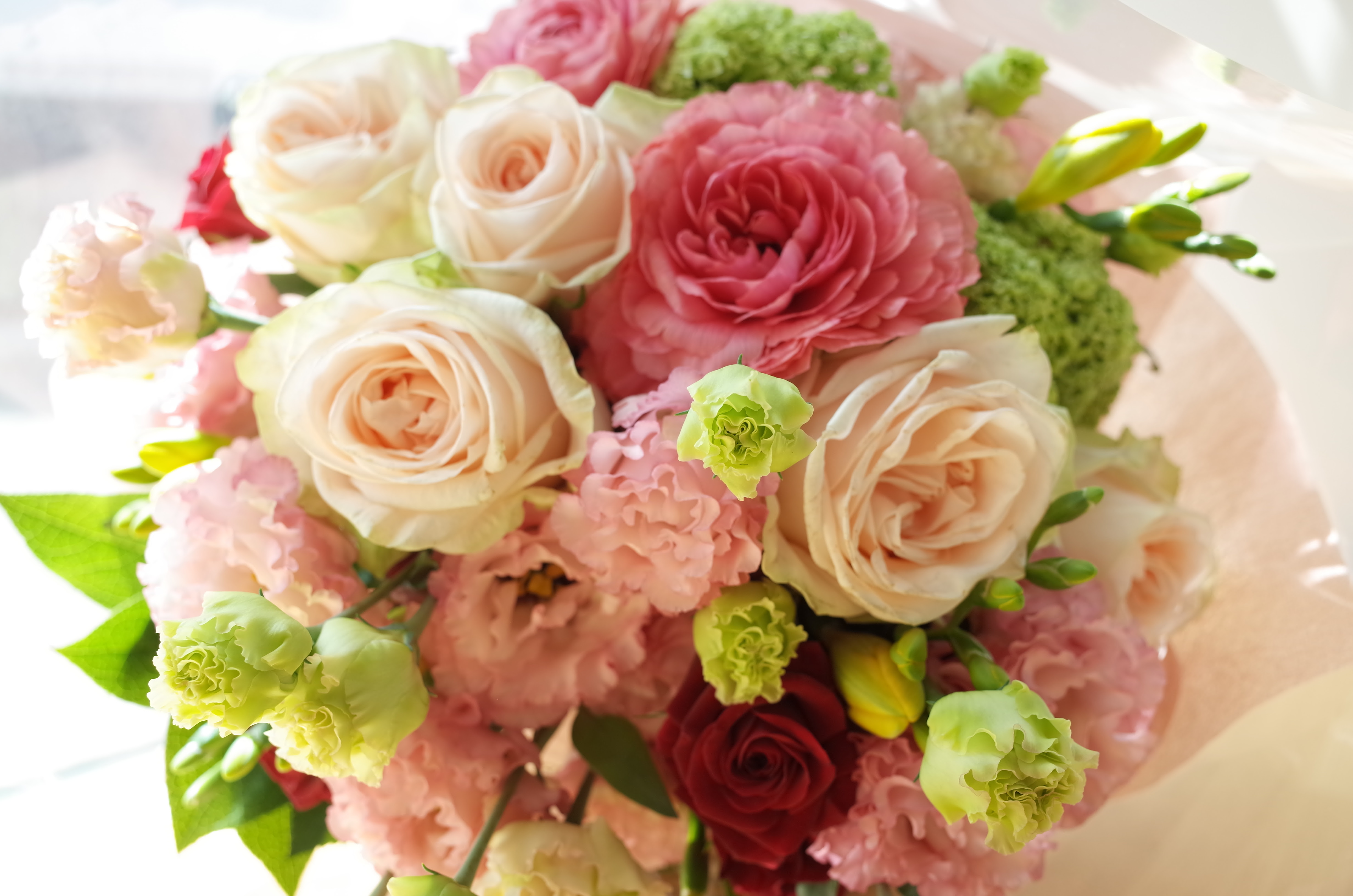 トルコキキョウ 小夏プリンセス がぴったりな陽気 Florist Irie Official Blog