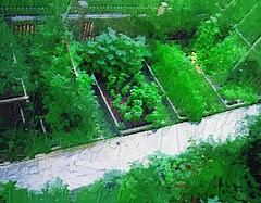 July garden oilpaint