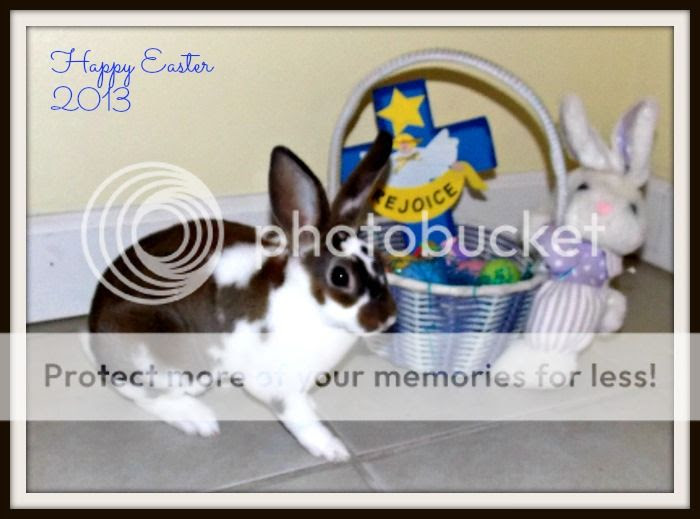  photo 2013-03-14124820LuluEaster.jpg