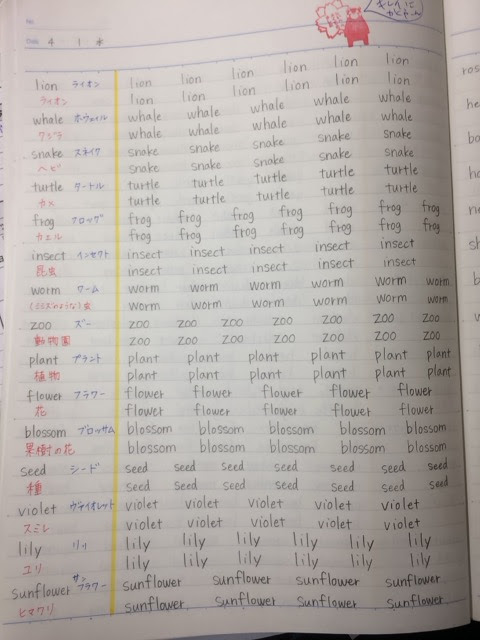 学習ルール 毎単ノートの使い方 学習塾 桜塾