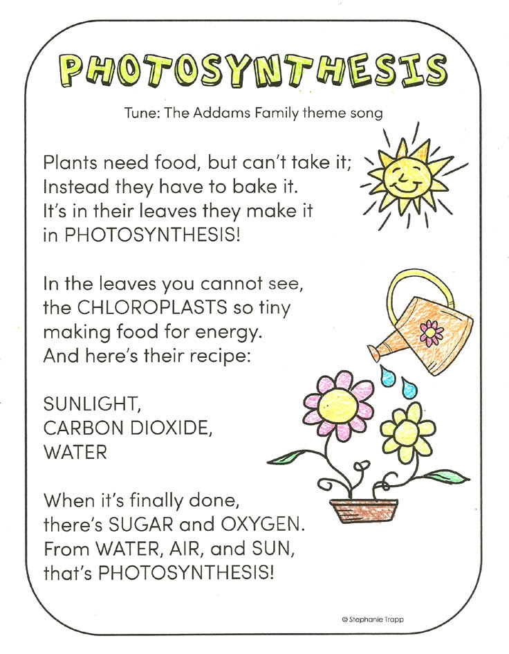 Photosynthesis for Kids - Primary Theme Park