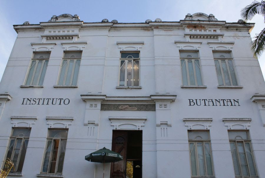 Ipanguaçu no Ato: Instituto Butantan recruta voluntários