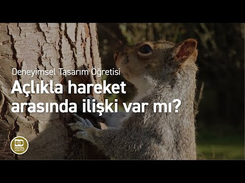 Resim