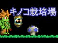 √100以上 テラリア キノコ菌床の種 156383-テラリア キノコ菌床の種