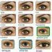 A tiger can see roughly six times better at night than a hu. all about the human eye color chart