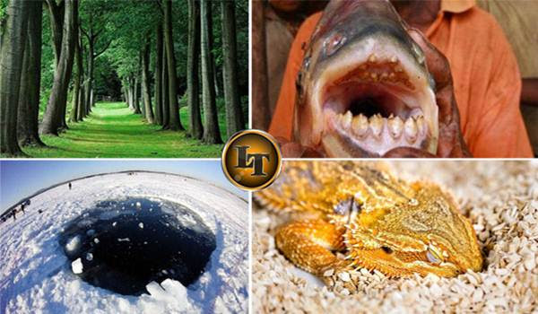 Inilah 6 Penelitian Yang Pecahkan Rahasia Aneh di Alam Semesta