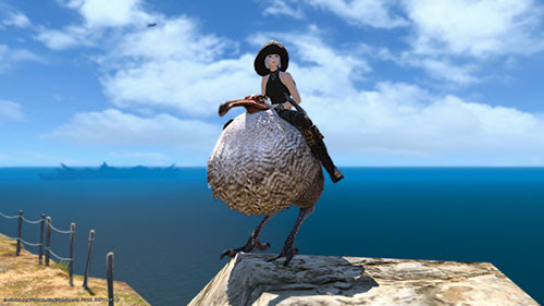 Dd ドードーマウントとれたー ミコッテ道中記 Ff14