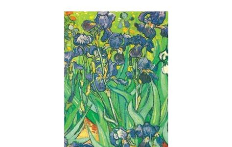Read Van Gogh Notebook: 16 Art Stickers (Decorative Notebooks) BookBoon PDF
