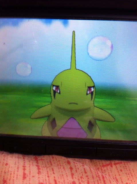 ヨーギラス 色違いに釘付け