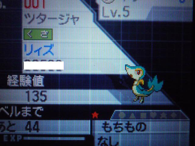 キラリン ポケモン奮闘記 固定リセット