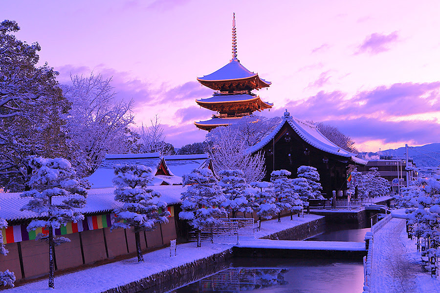 京都の雪景色ガイド