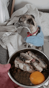 [OC] Jasmine goes cray cray for the sardines