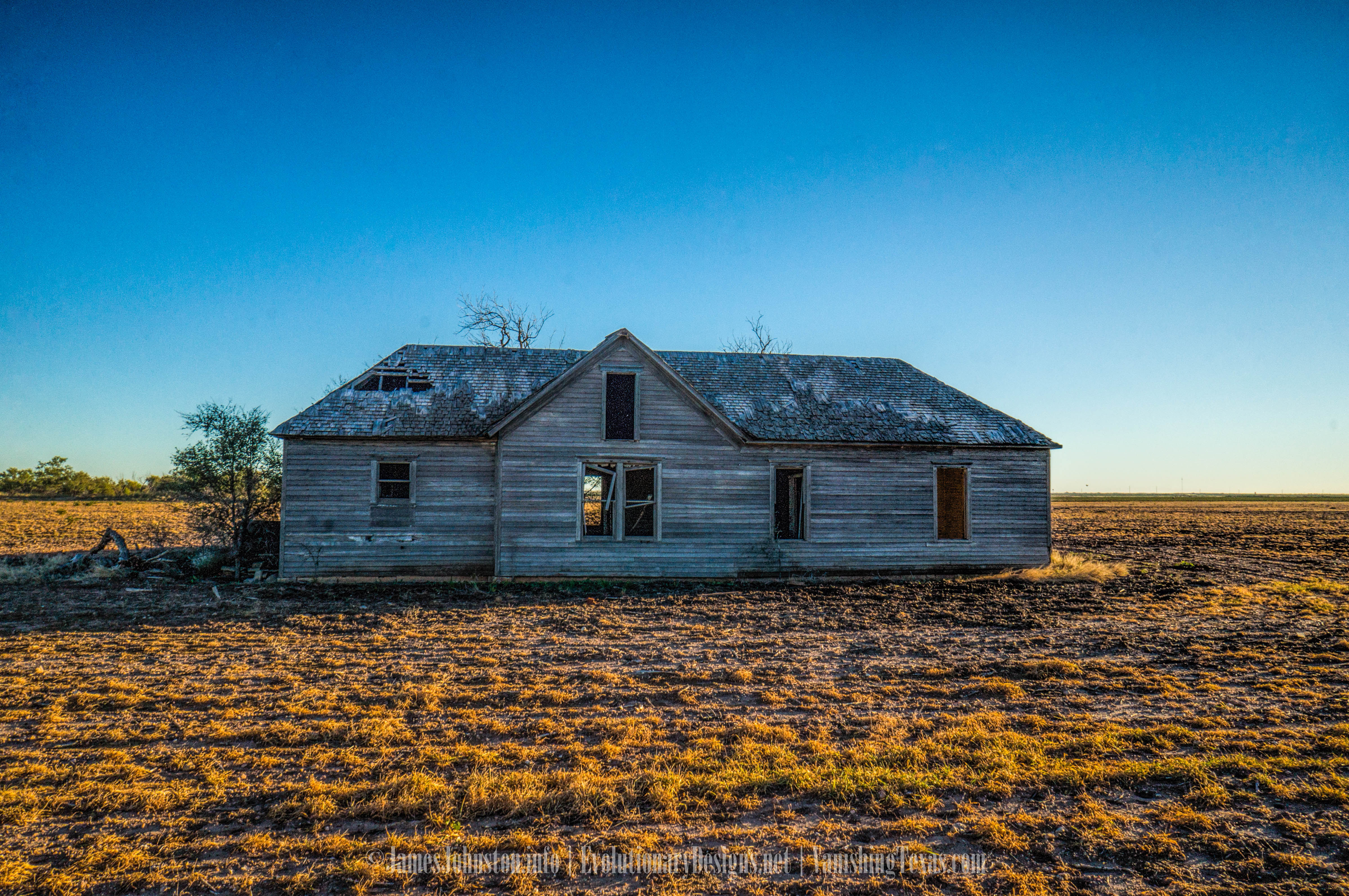 texas house