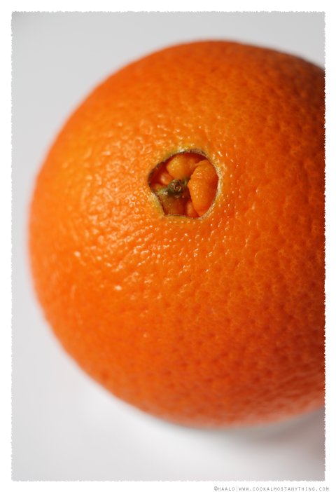 red navel orange© by Haalo