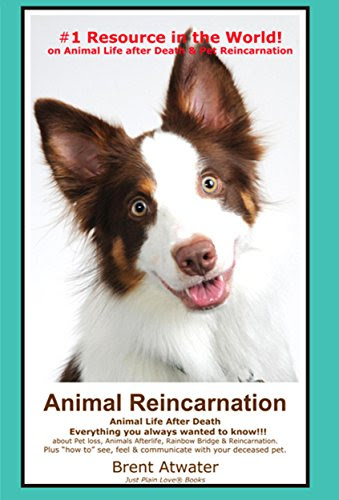 Animal Reincarnation & Animal Life After Death - Answers Your Heart's Questions re Pet Loss, Afterlife, After-death Communication