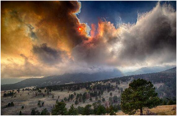 Get Rocky Mountain Wine And Food Festival Promo Code Background - PromoWalls