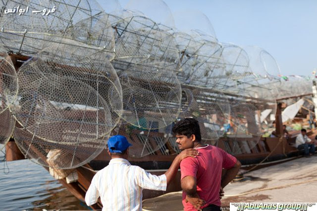 Fish market in Sharjah سوق السمك في الشارقه